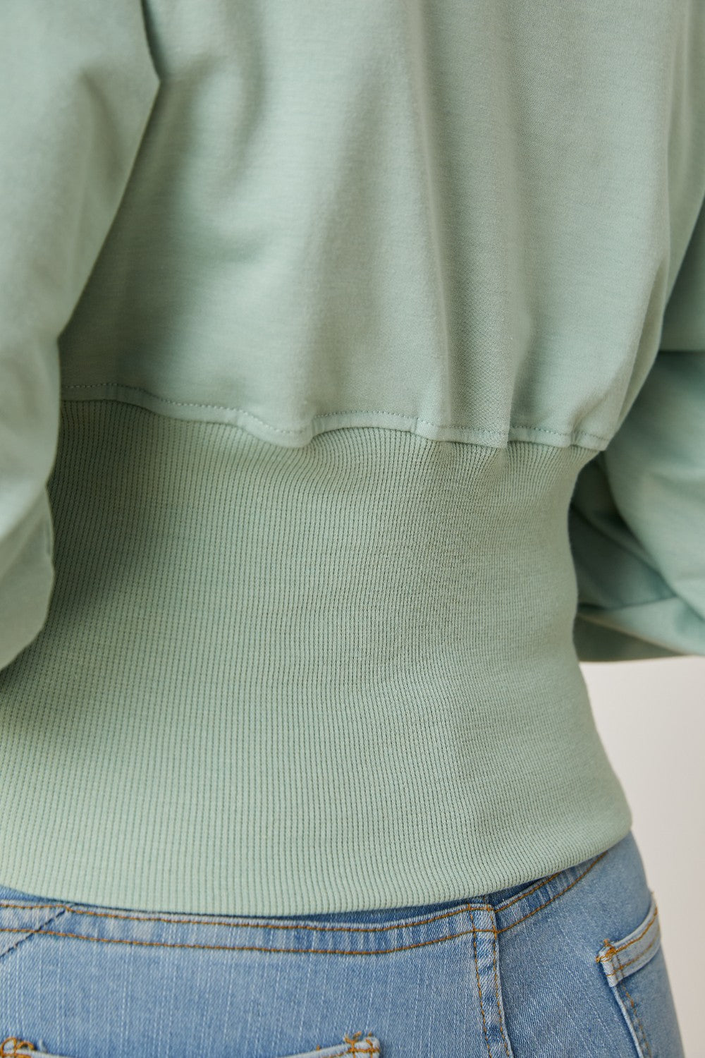 Boat Neck Lantern Sleeve Blouse - Lunaria